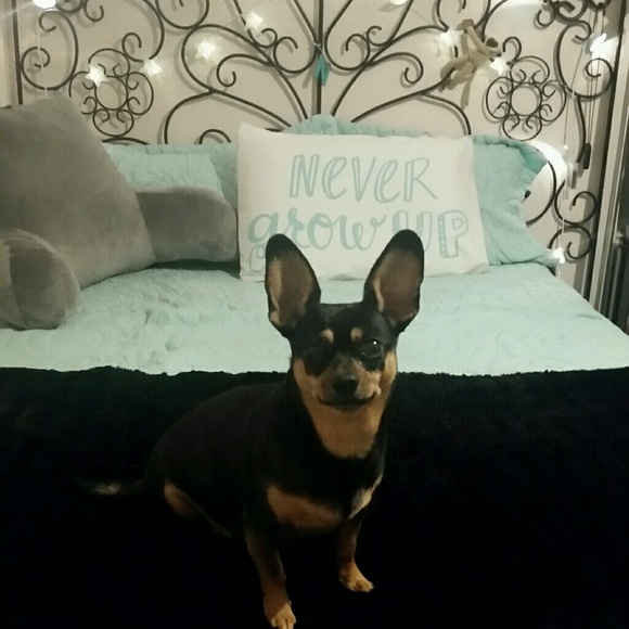 Meet your Posher, Nadine! - Picture 1 of 8